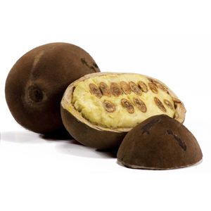 Cupuaçu com Casca Kg