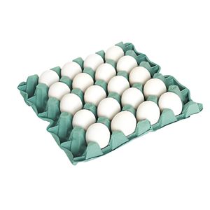 Ovos Brancos Iana Pvc Extra com 20 Unidades