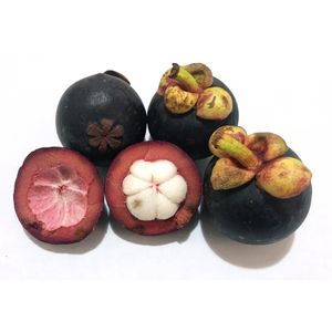 Mangostim Bandeja