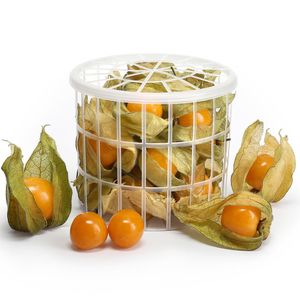Fruta Physalis Pote 100g