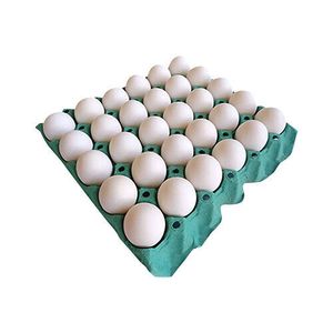Ovos Brancos Iana Grandes com 30 Unidades