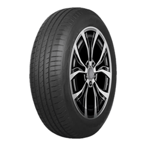 Pneu Delmax Aro 16 205/60 R16