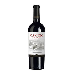Vinho Chileno Camino del Valle Gran Reserva Cabernet Sauvignon Tinto 750ml